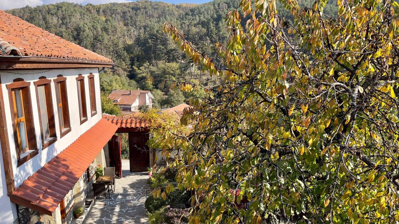 מלון קלופר Iliikova House מראה חיצוני תמונה