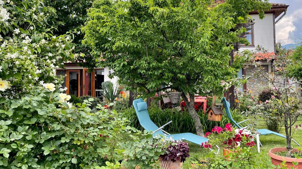 מלון קלופר Iliikova House מראה חיצוני תמונה
