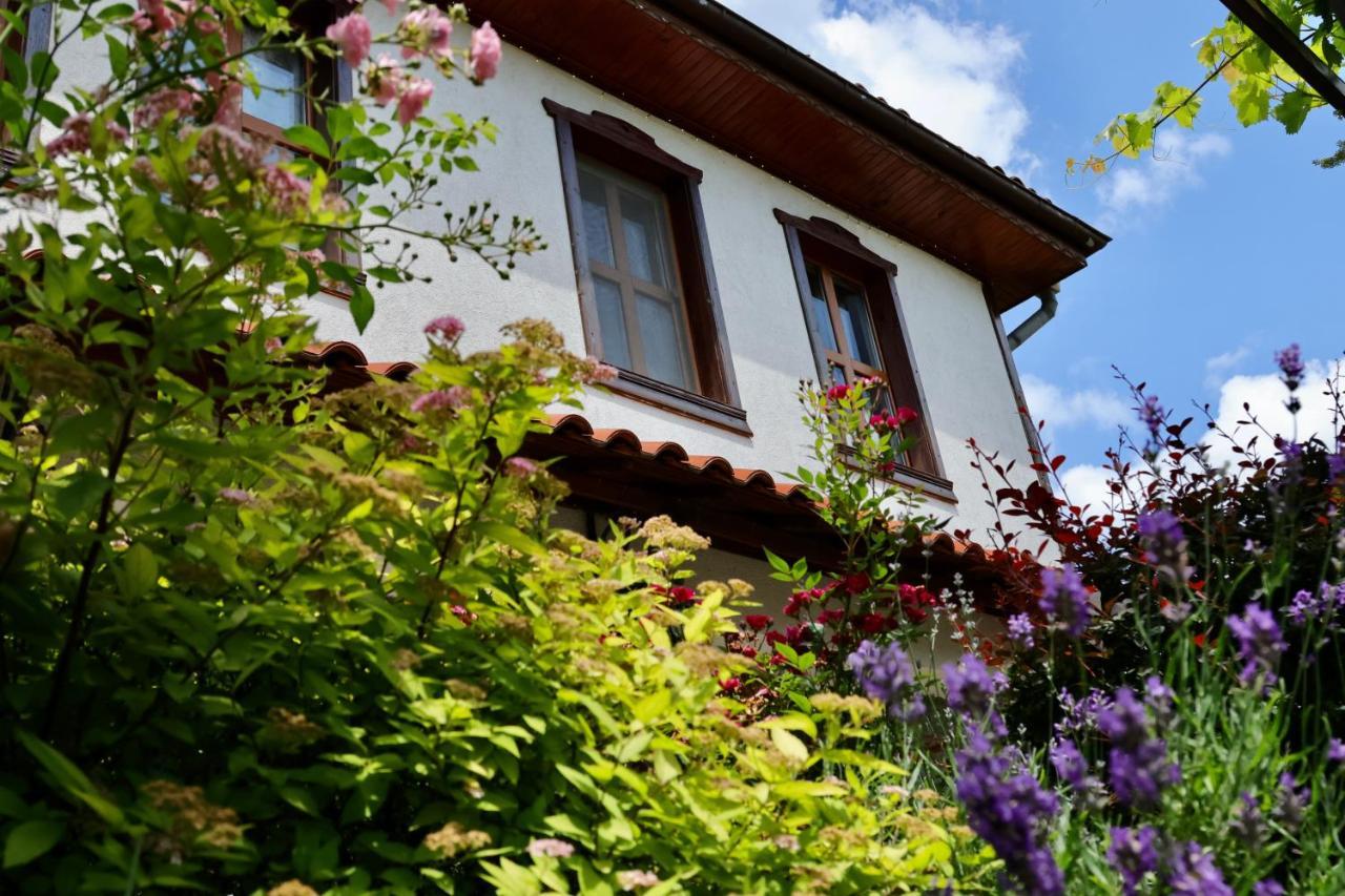מלון קלופר Iliikova House מראה חיצוני תמונה