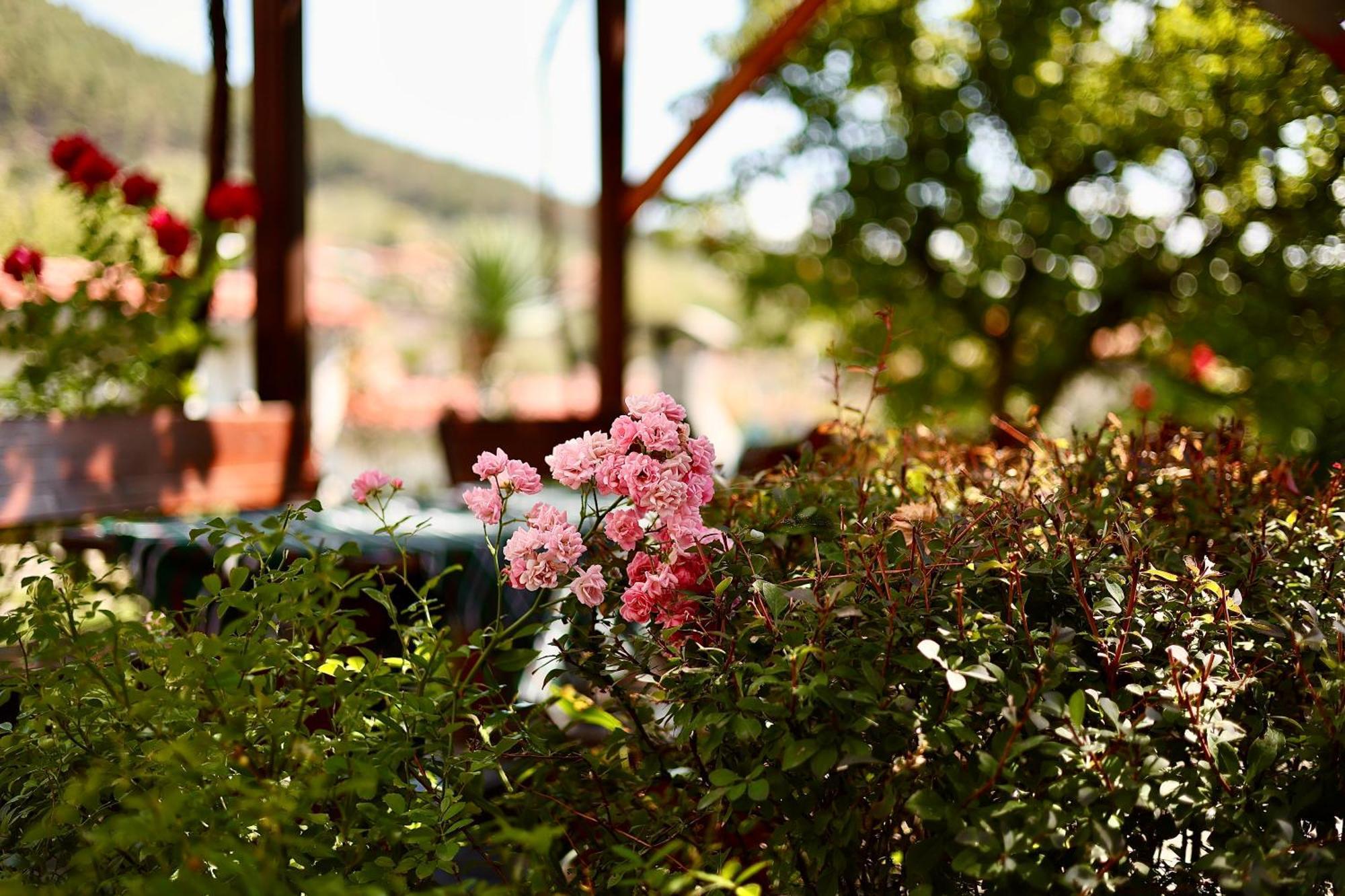 מלון קלופר Iliikova House מראה חיצוני תמונה